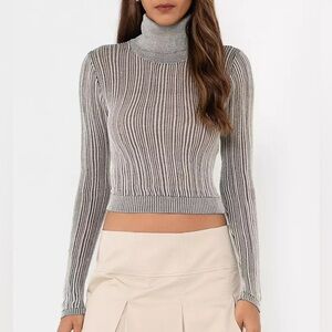 Zara Mesh Turtleneck